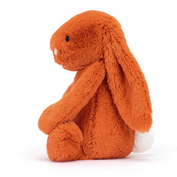 Bashful Tangerine Bunny - Image 2