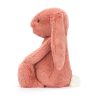 Bashful Sorrel Bunny - Image 5