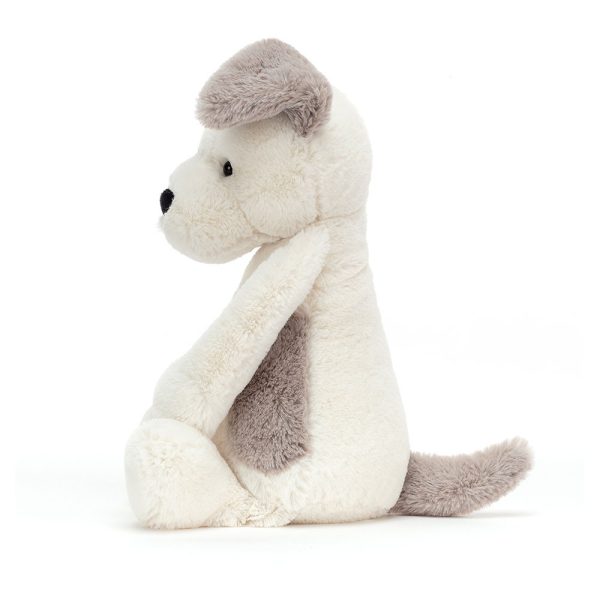 Bashful Terrier - Image 2