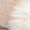 Bashful Luxe Bunny Willow - Image 20