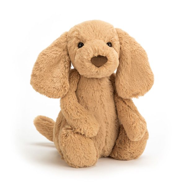 Bashful Toffee Puppy - Image 13