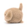 Caboodle Puppy - Image 2