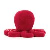 Cranberry Octopus - Image 9