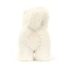 Daphne Pomeranian - Image 4