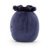 Fabulous Fruit Blueberry - Image 2