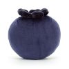 Fabulous Fruit Blueberry - Image 3