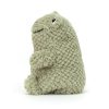 Flumpie Frog - Image 2