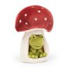 Forest Fauna Frog - Image 2