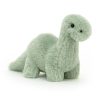 Fossilly Brontosaurus - Image 4