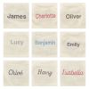 Bashful Inky Bunny with Personalised Cream Jumper - Image 2