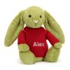 Bashful Moss Bunny with Personalised Red Jumper