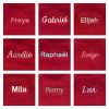Bashful Sloth with Personalised Red Jumper - Image 2
