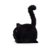 Kitten Caboodle - Image 5
