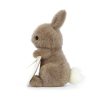 Messenger Bunny - Image 2