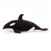Ollivander the Orca - Image 2