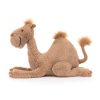 Richie Dromedary - Image 2