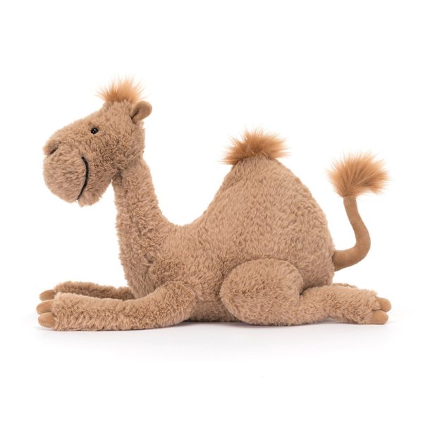 Richie Dromedary - Image 2