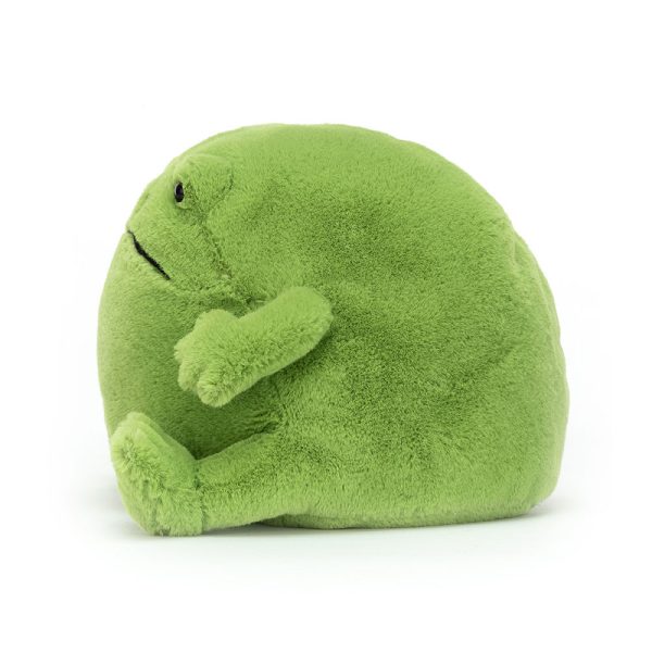 Ricky Rain Frog - Image 8