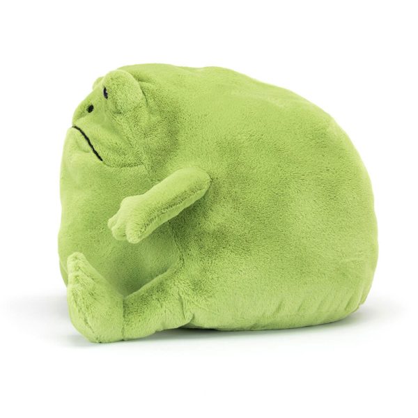 Ricky Rain Frog - Image 5