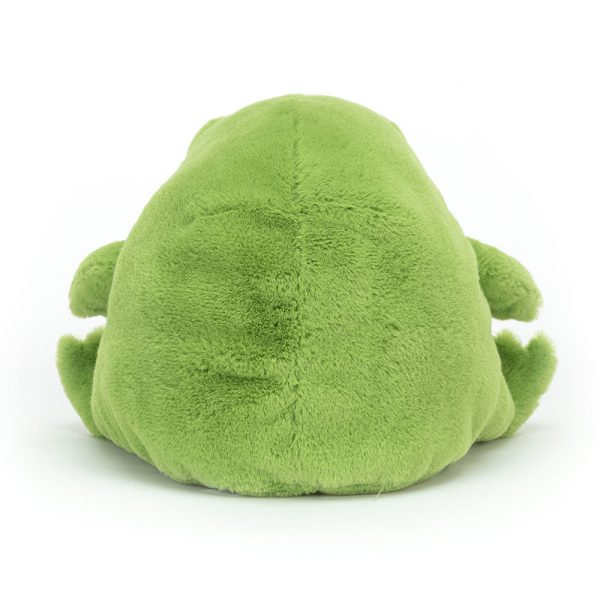Ricky Rain Frog - Image 6