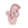 Sienna Seahorse - Image 7