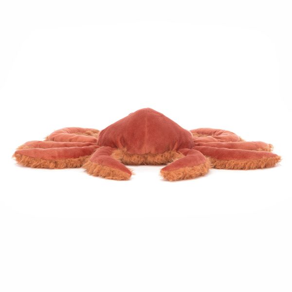 Spindleshanks Crab - Image 3