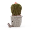 Silly Succulent Barrel Cactus - Image 2