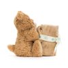 Bartholomew Bear Soother - Image 2