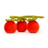 Vivacious Vegetable Tomato - Image 3
