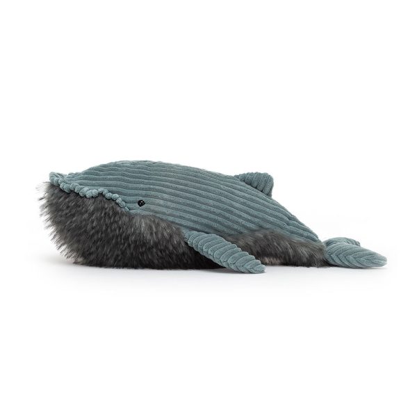 Wiley Whale - Image 2