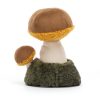 Wild Nature Boletus Mushroom - Image 2