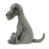 Zeus Great Dane - Image 2